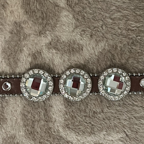 Brown Crystal Embellished Belt - Picture 4 of 15